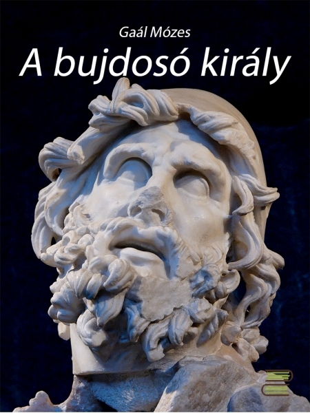 borító: A bujdosó király>