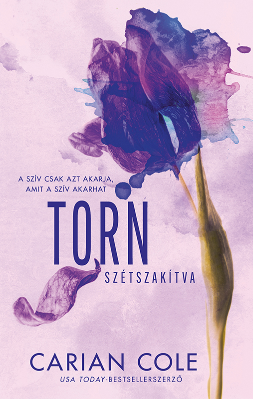 borító: Torn - Szétszakítva>
