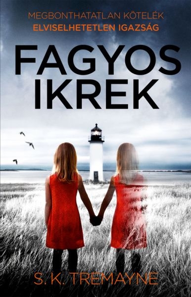 borító: Fagyos ikrek>