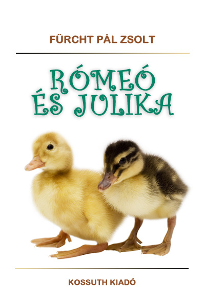 Kép: Rómeó és Julika