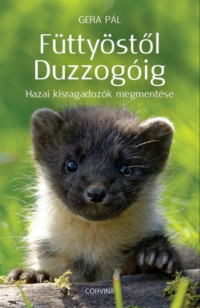 borító: Füttyöstől Duzzogóig>