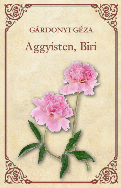 borító: Aggyisten, Biri>