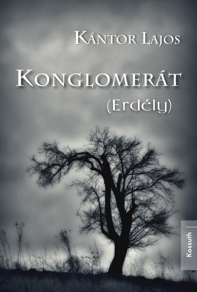 borító: Konglomerát (Erdély)>