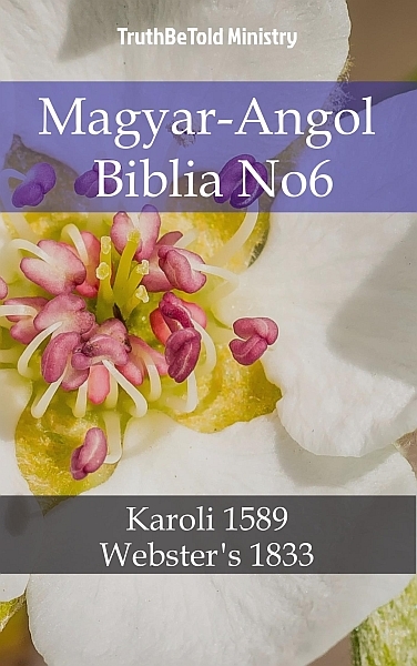 borító: Magyar-Angol Biblia No6>