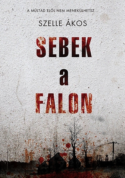 borító: Sebek a falon>