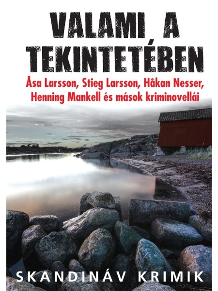 borító: Valami a tekintetében>