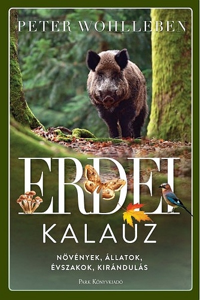 borító: Erdei kalauz>