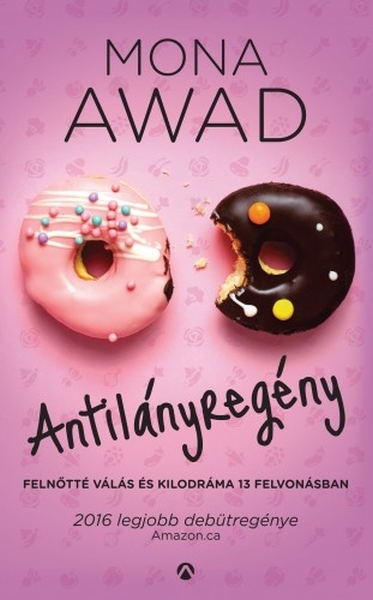 borító: Antilányregény>