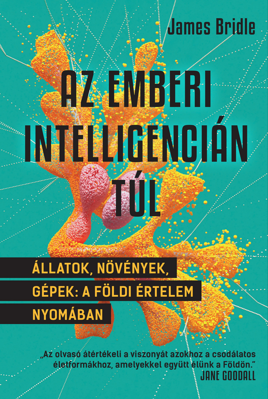 borító: Az emberi intelligencián túl>