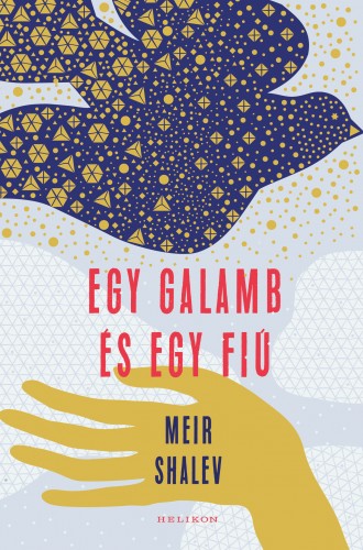 borító: Egy galamb és egy fiú>