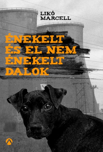 borító: Énekelt és el nem énekelt dalok>