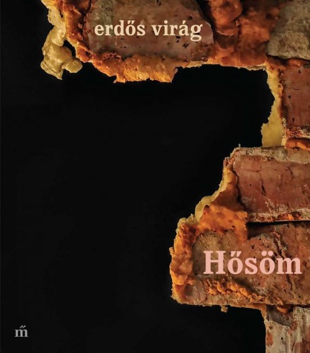 borító: Hősöm>