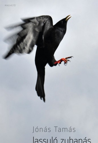 borító: Lassuló zuhanás>