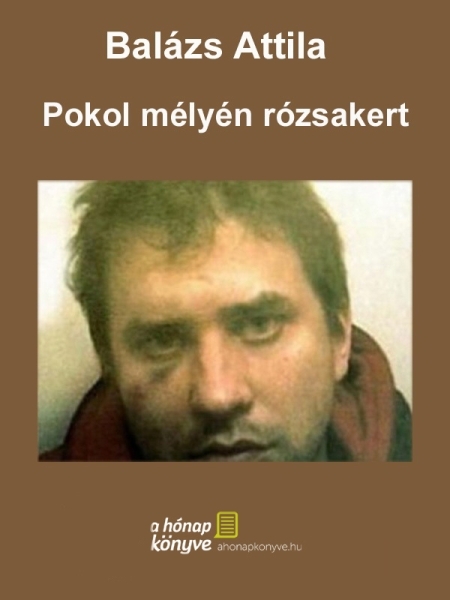 borító: Pokol mélyén rózsakert>