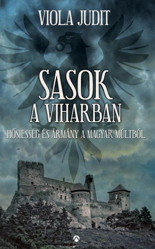 borító: Sasok a viharban>