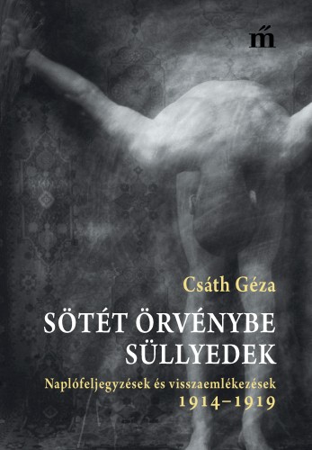 borító: Sötét örvénybe süllyedek - Naplófeljegyzések és visszaemlékezések 1914-1919>