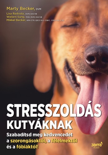 Kép: Stresszoldás kutyáknak