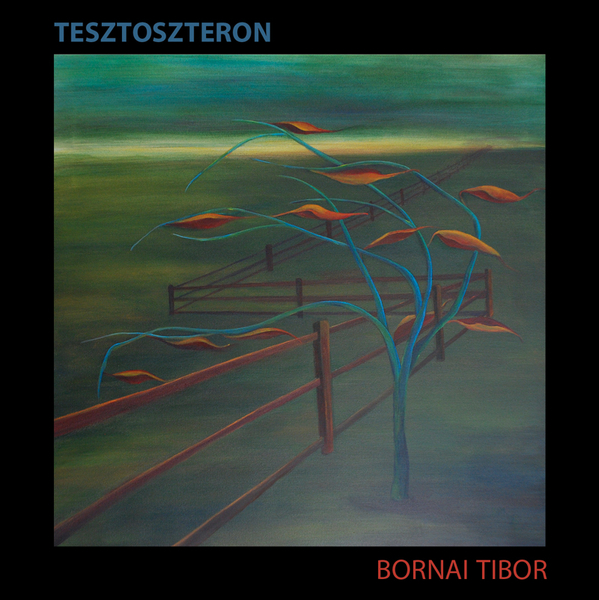 borító: Tesztoszteron>